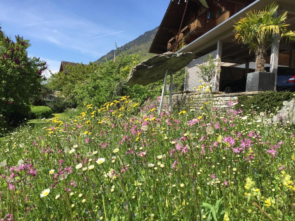 Chalet Rosemarie Ringgenberg Eksteriør billede