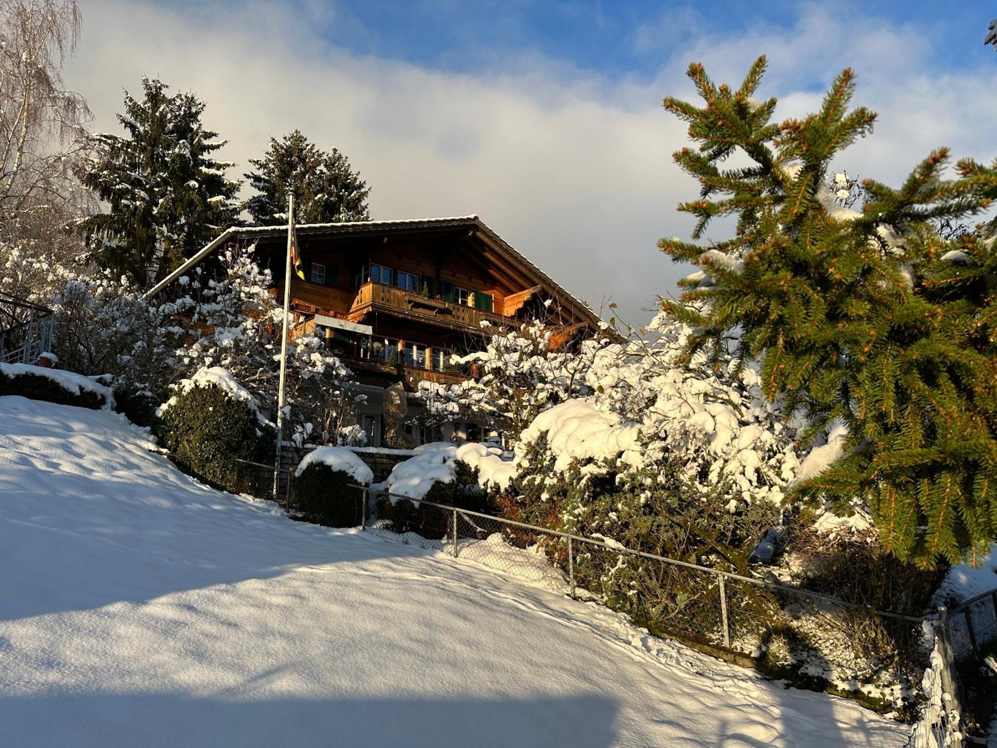 Chalet Rosemarie Ringgenberg Eksteriør billede